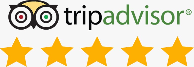 Trip Advisor Logo